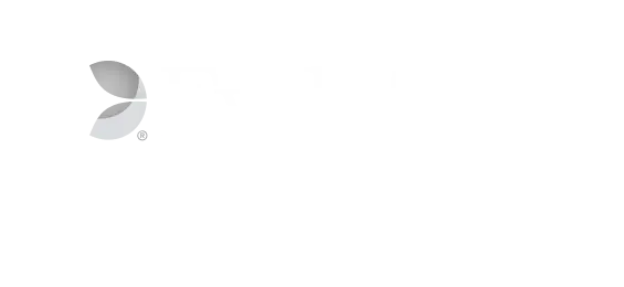 gamdom evolution gaming